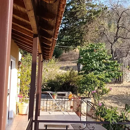 Efi Loutses Apartment Anapaftiria