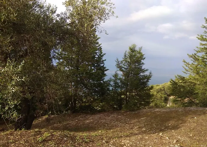 Efi Loutses * Anapaftíria