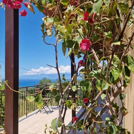 Efi Loutses * Anapaftíria