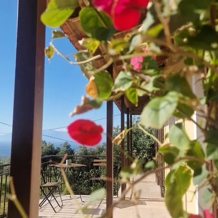 Efi Loutses * Anapaftíria