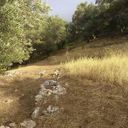 Efi Loutses דירה