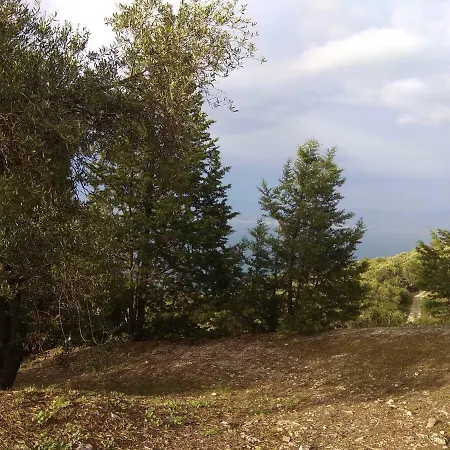 Efi Loutses * Anapaftíria